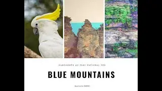 Randonn&eacute;e au parc national des Blue Mountains &agrave; Katoomba, Australie (NSW)