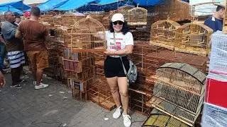 FEIRA DO CORDEIRO E VOCÊ, TUDO HAVER!! GAIOLAS E ACESSÓRIOS.