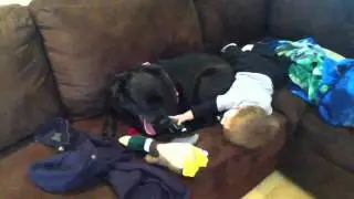 Jamie playing with the dog!
