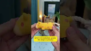 Chew, Play, Smile&mdash;The Ultimate Cow Toy for Dogs
