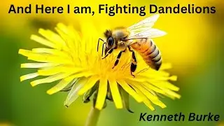 Day 47 - And Here I am, Fighting Dandelions