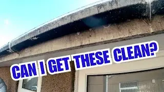 Gutter Cleaning Challenge