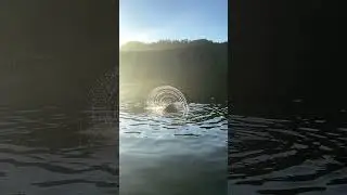 [BBSnaps - Schlachtensee ☀️]