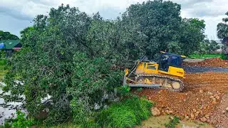 Amazing SHANTUI Skills! Expert Driver Building Landfill With Stones