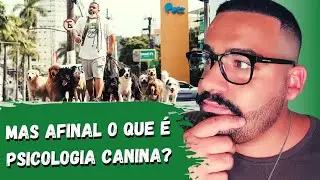 PSICOLOGIA CANINA, o que tu PRECISA SABER.