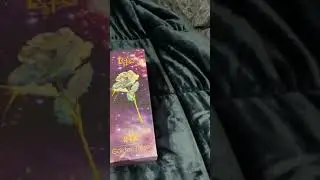 Galaxy Rose 24k Gold scam - DON&rsquo;T WASTE YOUR MONEY