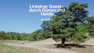 Lintelner Geest - durch Dünen und Heide