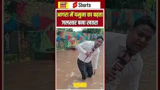 Agra Flood : आगरा में यमुना का बढ़ता जलस्तर बना खतरा | N18S #shorts