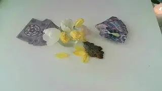 ÚNOR ♋RAK♏ ŠTÍR♓RYBY