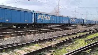 PIMK Rail 80 019 Roxana с ДТВ 20694 