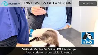 Reportage Centre De Soins LPO Aquitaine