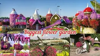 Enjoy The World`s Biggest Flower Garden Full Tour |Miracle Garden Dubai @SilverBell22