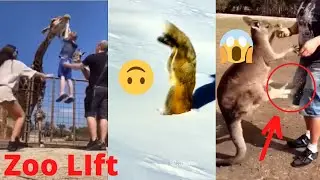 Wee Meme compilation part 1