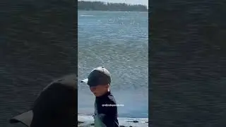 Botos encantam veranistas nos Molhes da Barra, em Laguna