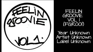 Feelin Groovie Vol 1 - House White label vinyl