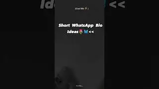 Short whatsapp bio ideas 💗💡 #ideas #whatsapp #bio