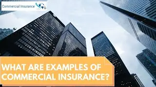 What Are Examples Of Commercial Insurance | Top 3 Reasons Why You Should Choose Commercial Insurance
