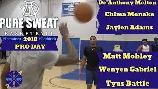 Pure Sweat Pro Day 2018 Highlights w/ NBA Rookies DeAnthony Melton, Jaylen Adams, & Wenyen Gabriel