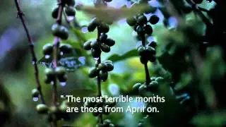 After The Harvest: Fighting Hunger in the Coffeelands film trailer