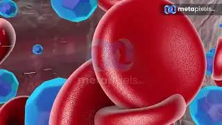 Gladiator - 3D Animation