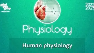 Revision of L1, organisation of human body and body fluids, Physiology