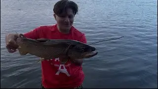 PB Brown Trout на реке Боу @FishaholicsCanada #рыбалка #browntrout #вирусный #рыболовныйнаркоман