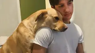 Когда собака выбирает вас в качестве своих любимых людей ❤️ Дружба между собакой и человеком