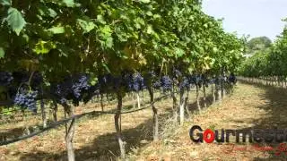 Italienische Weine