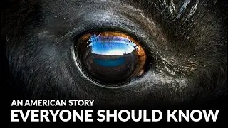 АМЕРИКАНСКАЯ ИСТОРИЯ, КОТОРУЮ ДОЛЖЕН ЗНАТЬ КАЖДЫЙ