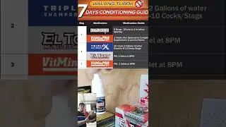 7-ДНЕВНАЯ ПОДГОТОВКА для бойцовых кур!