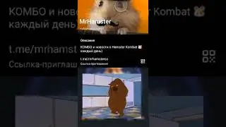 новое комбо каждый день ТГ канал: MrHamster #combo #hamsterkombat #hamstercombo #music #shorts