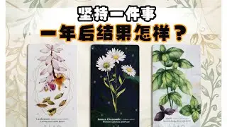【 Sasha塔罗】坚持一件事一年后结果如何？丨发展/过程/建议丨大众占卜
