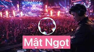 Big Room Festival Music  Mật Ngọt   DUNGHOANGPHAM REMIX 2025