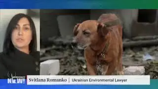 Fossil fuel dependency and Russia&rsquo;s invasion of Ukraine with Svitlana Romanko