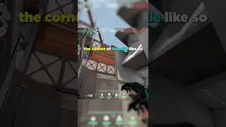 VIPER Molly Lineup Mid Box From Ramps on Split!!