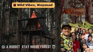 Wild Vibes Wayanad 😍 I A Budget Stay I camping I kerala I Tamil vlog I #lkvlogs #wayanad #kerala