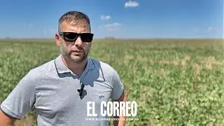 Enero 2026, el más seco en 68 años: “Estamos atravesando una campaña marcada por el déficit hídrico”