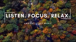 Soothing Background Music and Forest Scenery - 4 Hours of Study Ambience