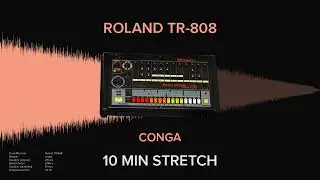 Roland TR-808 Conga (10 MINUTES)