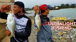Ajing ikan lemah / false travelly