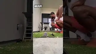 Squirrel house Richard and hoodrat raymond #squirrel #animals #animals #wildanimals #funny #fyp