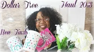 DOLLAR TREE HAUL | NEW FINDS 2018