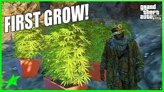 OUR FIRST GROW OF PRODIGY 2.5! | GTA 5 Roleplay (ProdigyRP 2.5 Whitelist)