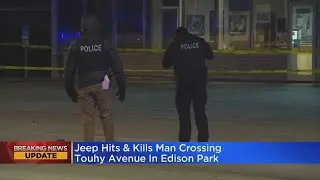 Retired Chicago Police Officer Killed In Hit And Run In Edison Park; Police Looking For Driver