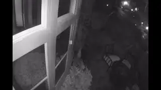 Surveillance video captures two suspects firing nearly 20 shots at a Rocklin home