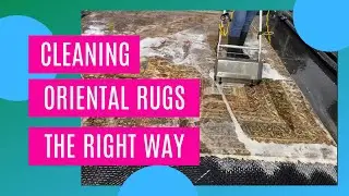 Satisfying Rug Cleaning of this DIRTY ORIENTAL RUGS. Rodriguez Cleaning Services