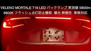 FL5 シビックタイプR　バックランプ交換（純正ハロゲンランプ&rarr;T16 LED 5800lm 6800K）