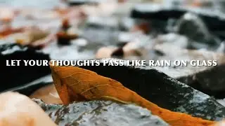 Peaceful Quote | Calm Mind & Inner Peace #zen #peaceofmind #quotes 