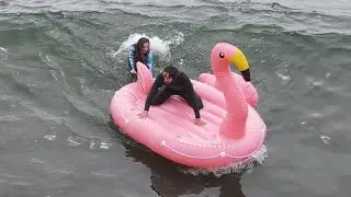 GIANT FLAMINGO Surfing (EPIC Wipeouts)