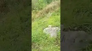 Multo sa Probinsya 😱